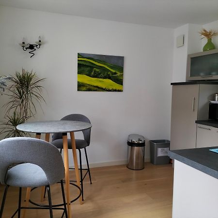 Appartement Salamandre Orlean Zewnętrze zdjęcie